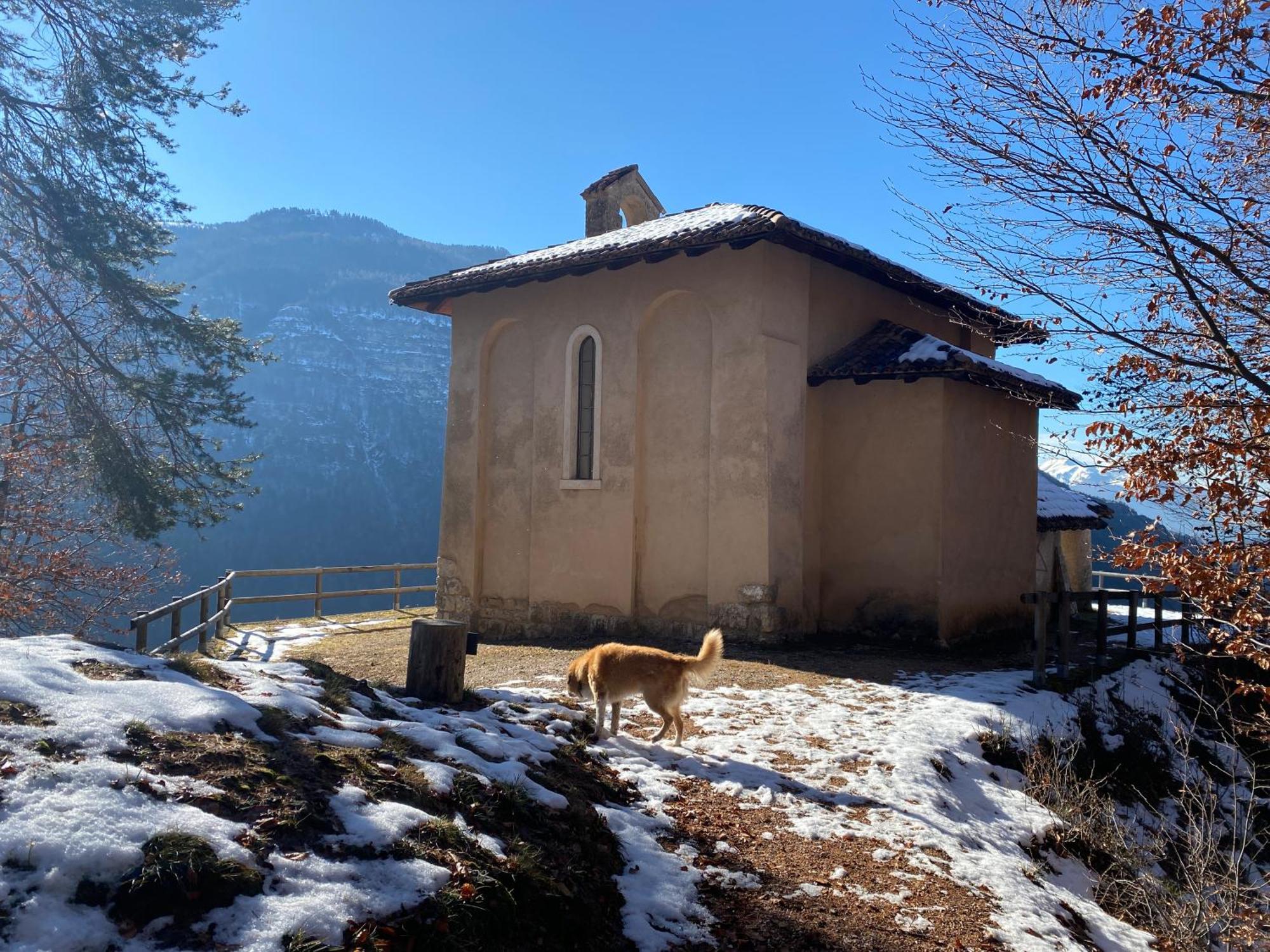 Cielo E Terra Chalet Zencheri Con Vista Panoramica Piazza  Dış mekan fotoğraf